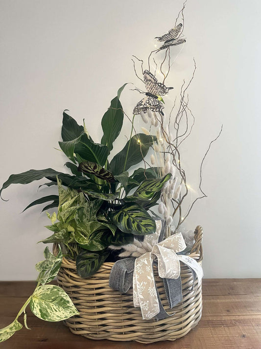 Grand Jardin de plantes